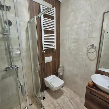 Bizi House Accommodation 2 Drobeta Turnu Severin Extérieur photo