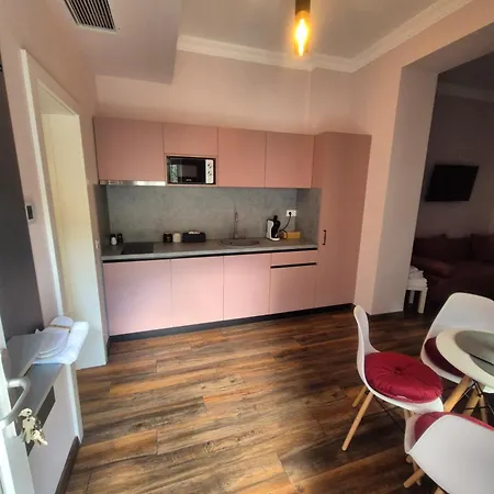 Bizi House Accommodation 2 Drobeta Turnu Severin Extérieur photo