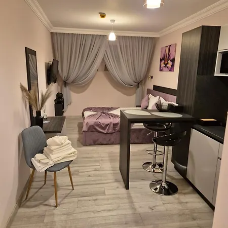 Bizi House Accommodation 2 Drobeta Turnu Severin Extérieur photo